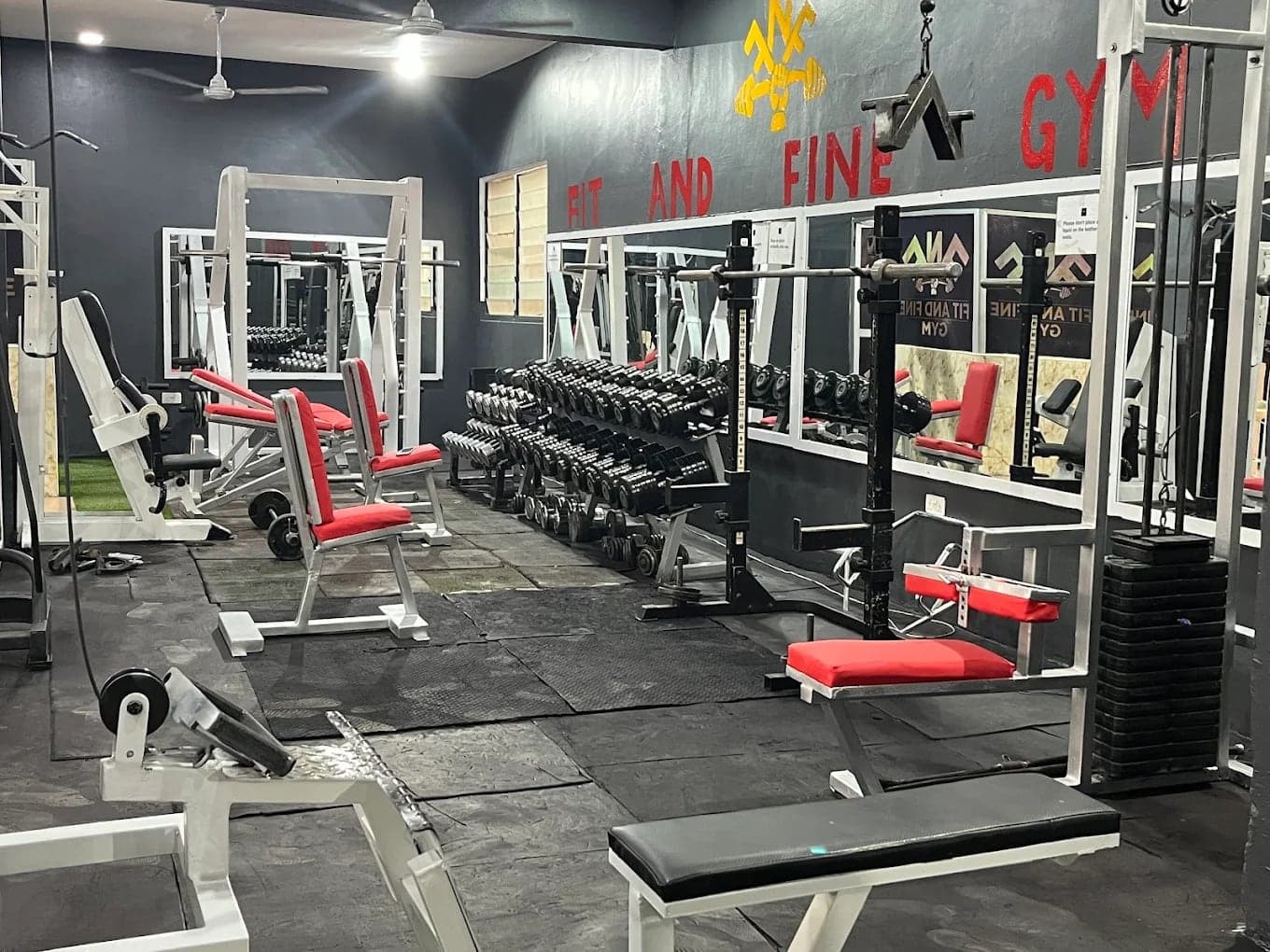 Weight-training equipment on the Fit & Fine gym floor